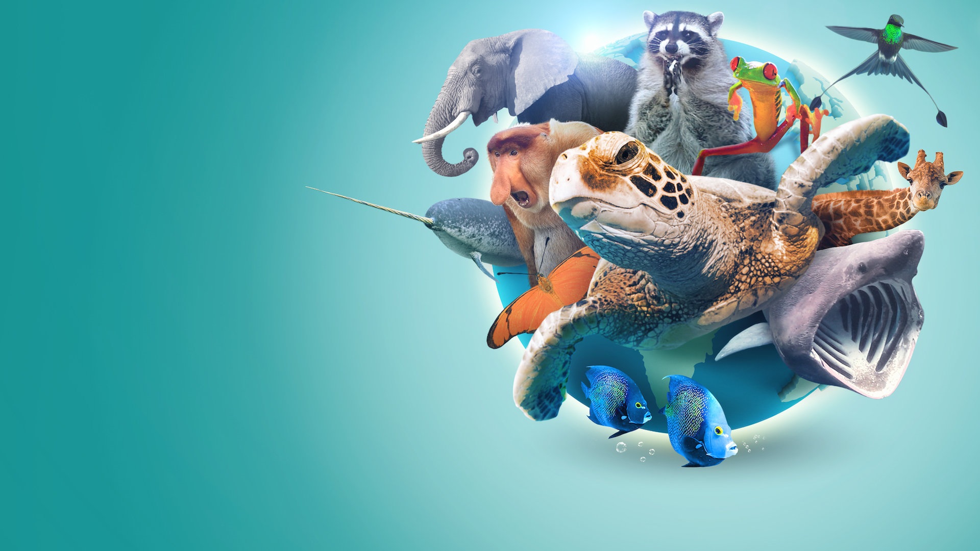 Absurd Planet 1. Sezon 11. Bölüm