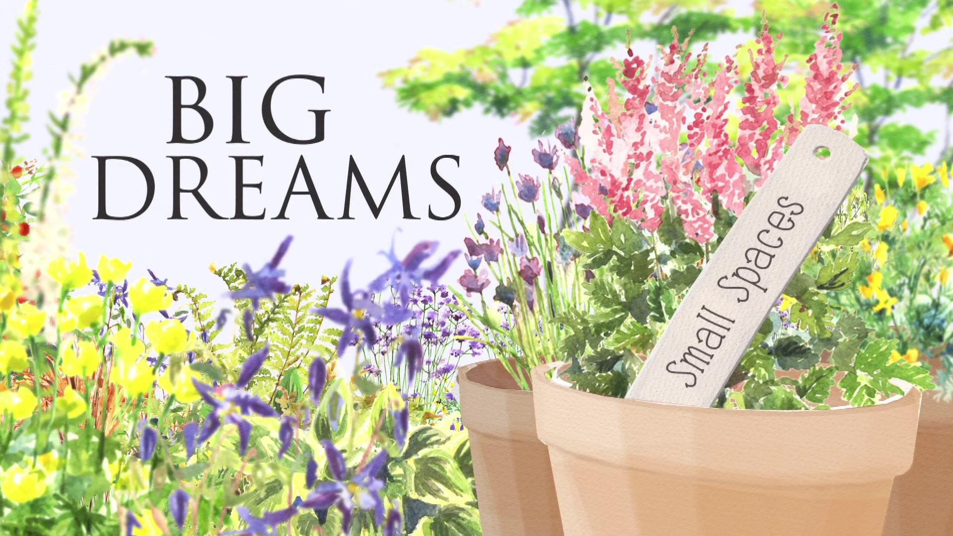 BIG DREAMS Small Spaces 2. Sezon 5. Bölüm