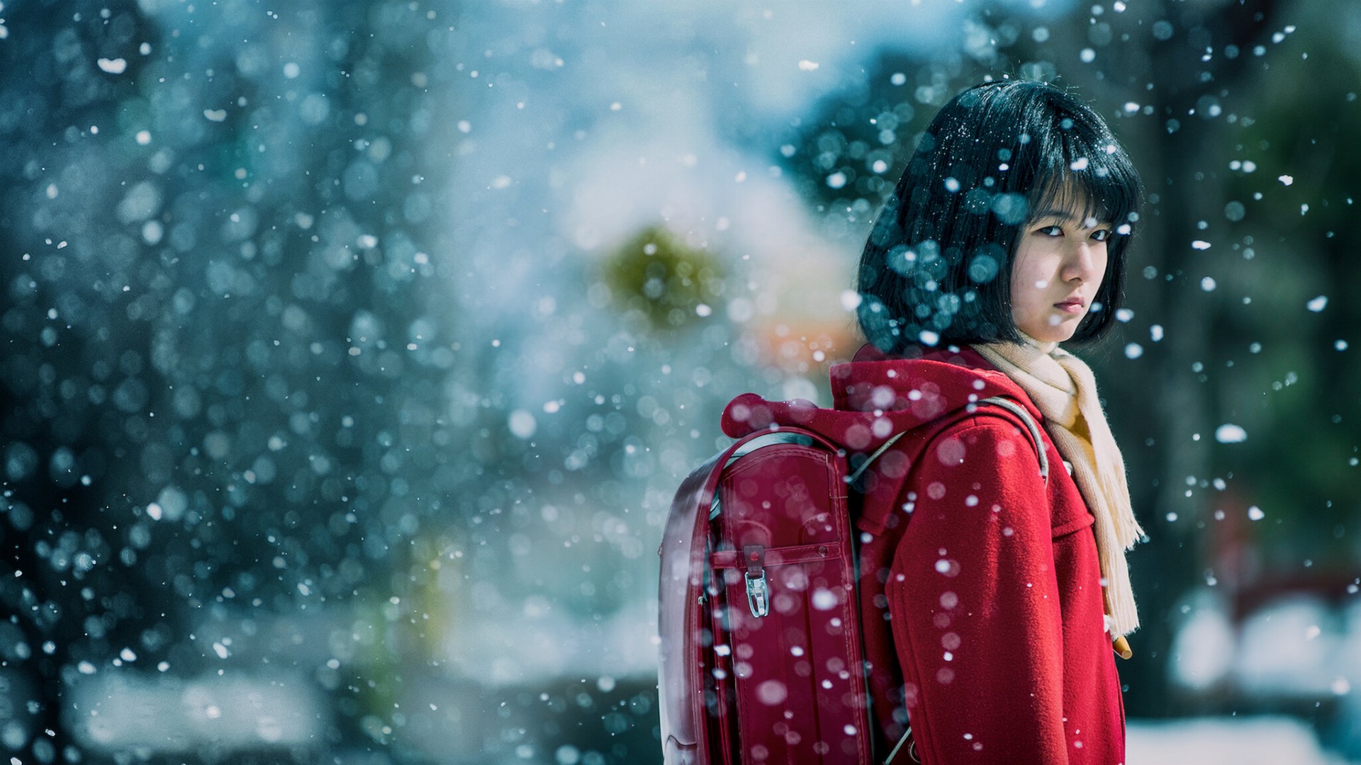 Erased 1. Sezon 12. Bölüm