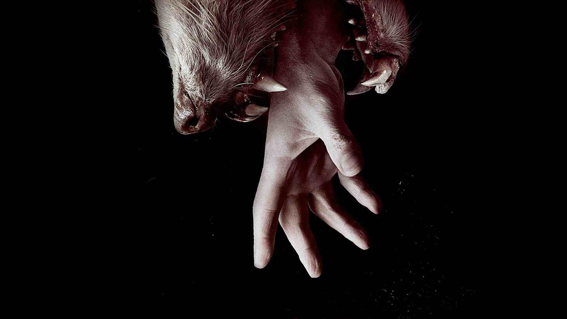Hemlock Grove 3. Sezon 8. Bölüm