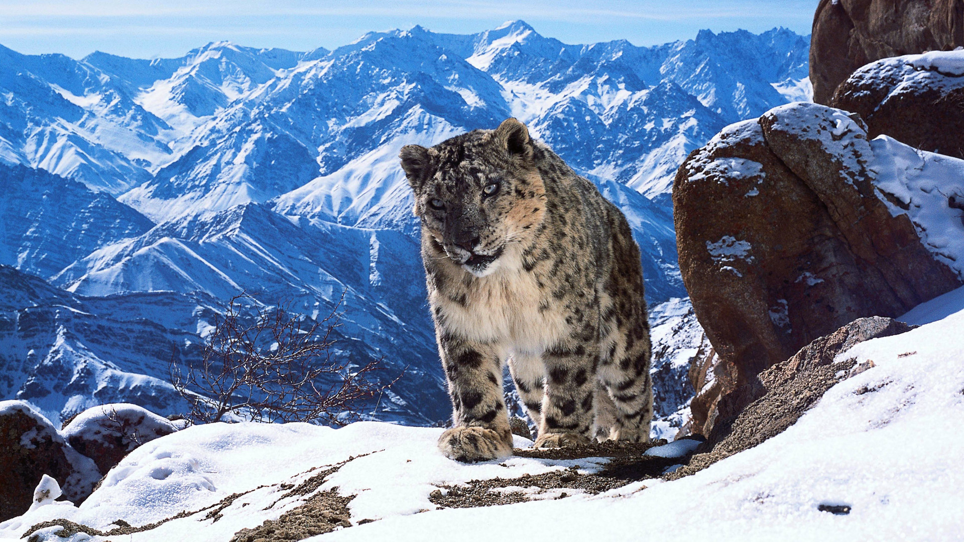 Planet Earth II 1. Sezon 5. Bölüm