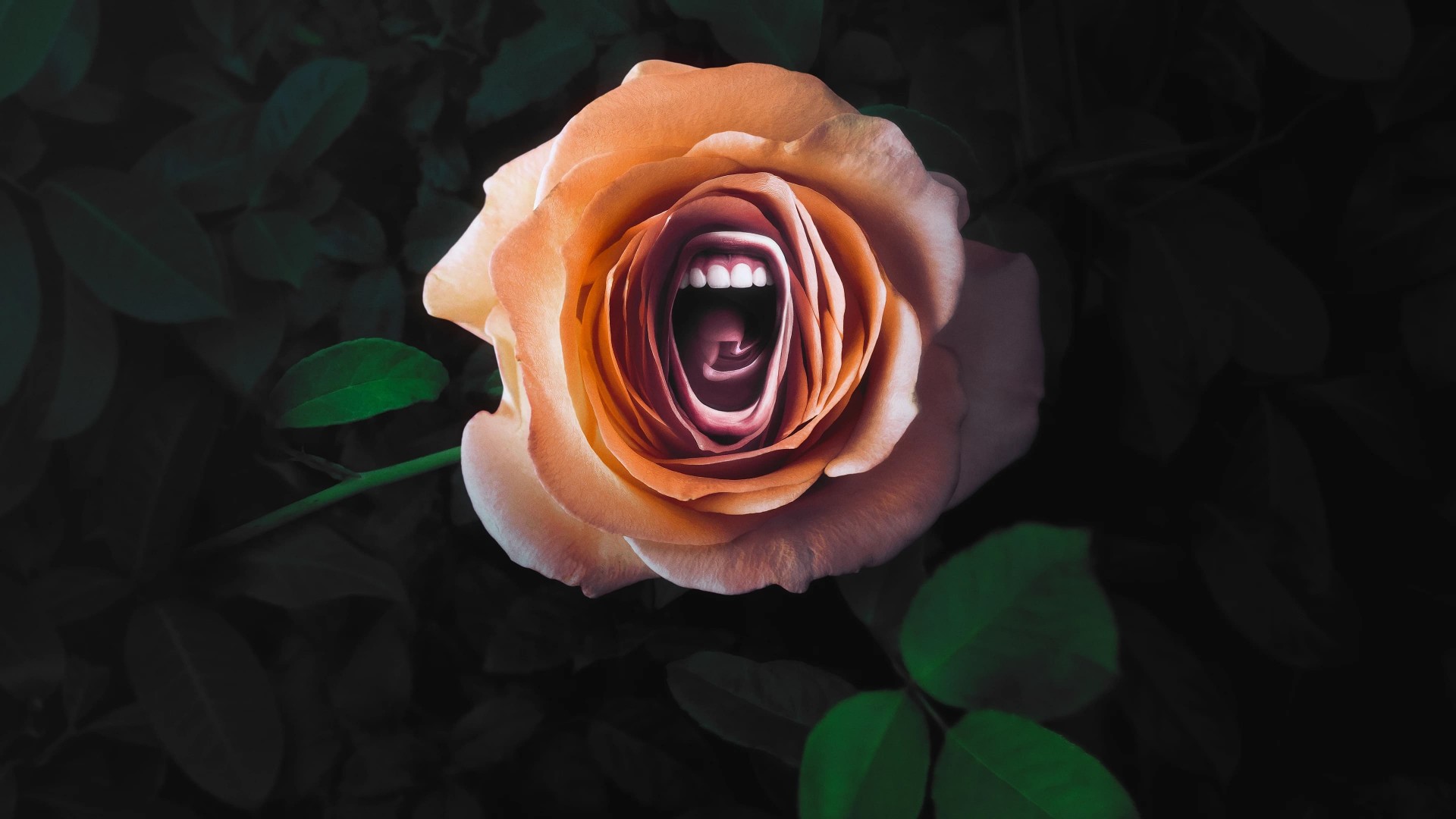 Roar 1. Sezon 6. Bölüm