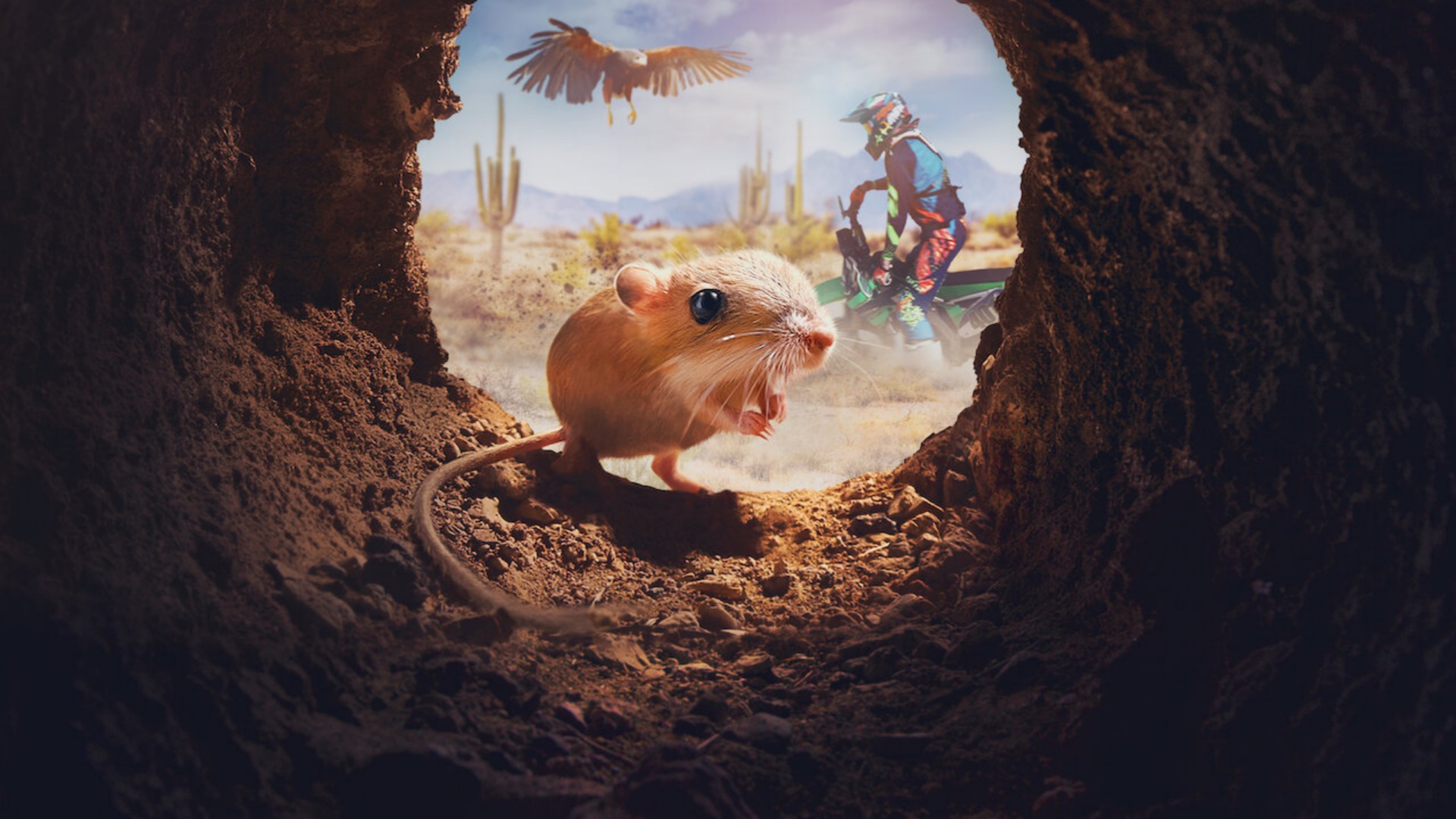 Tiny Creatures 1. Sezon 6. Bölüm