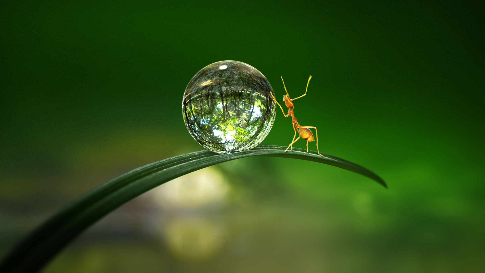 Tiny World 2. Sezon 5. Bölüm