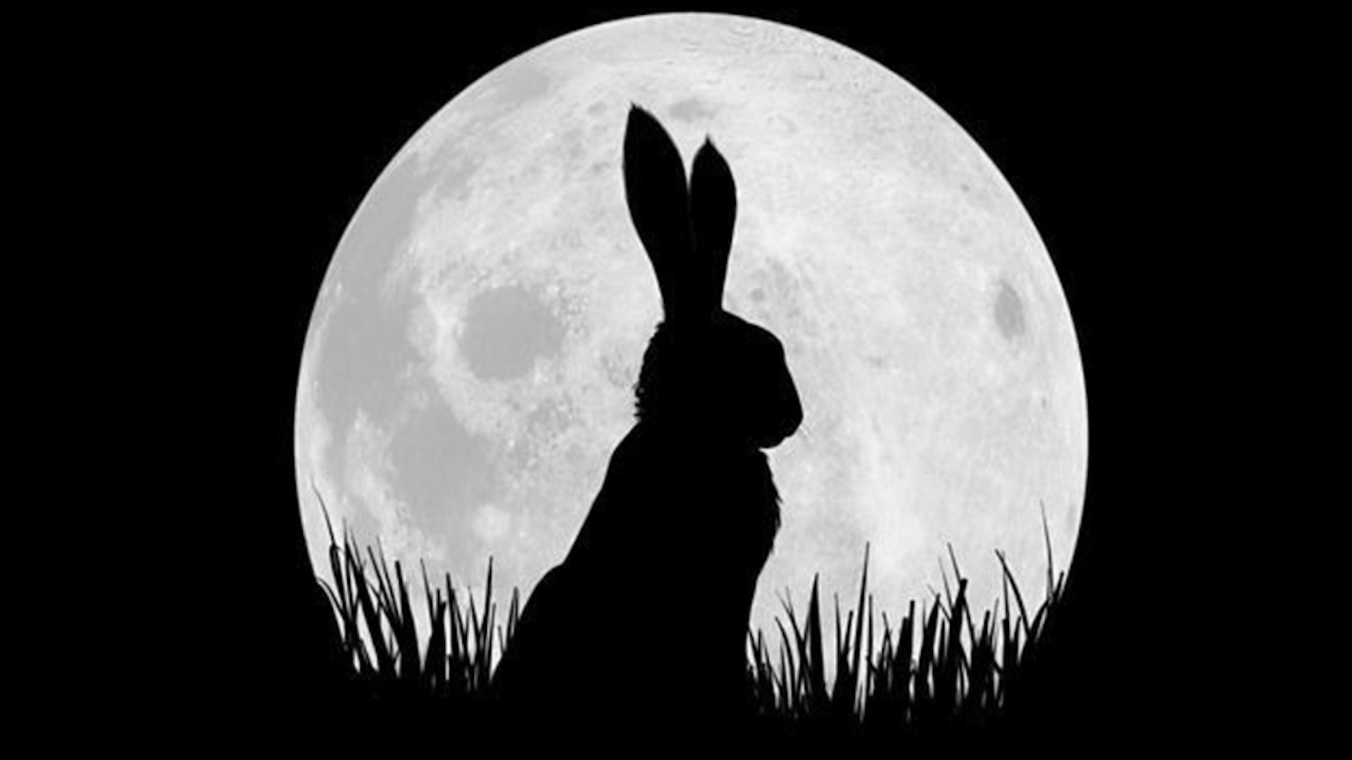 Watership Down 1. Sezon 1. Bölüm
