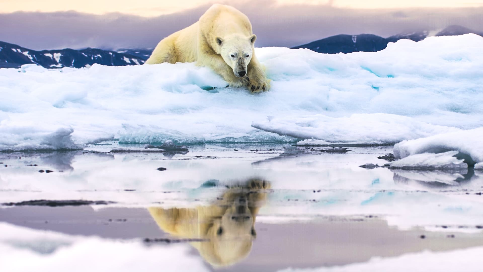 Frozen Planet II 1. Sezon 3. Bölüm