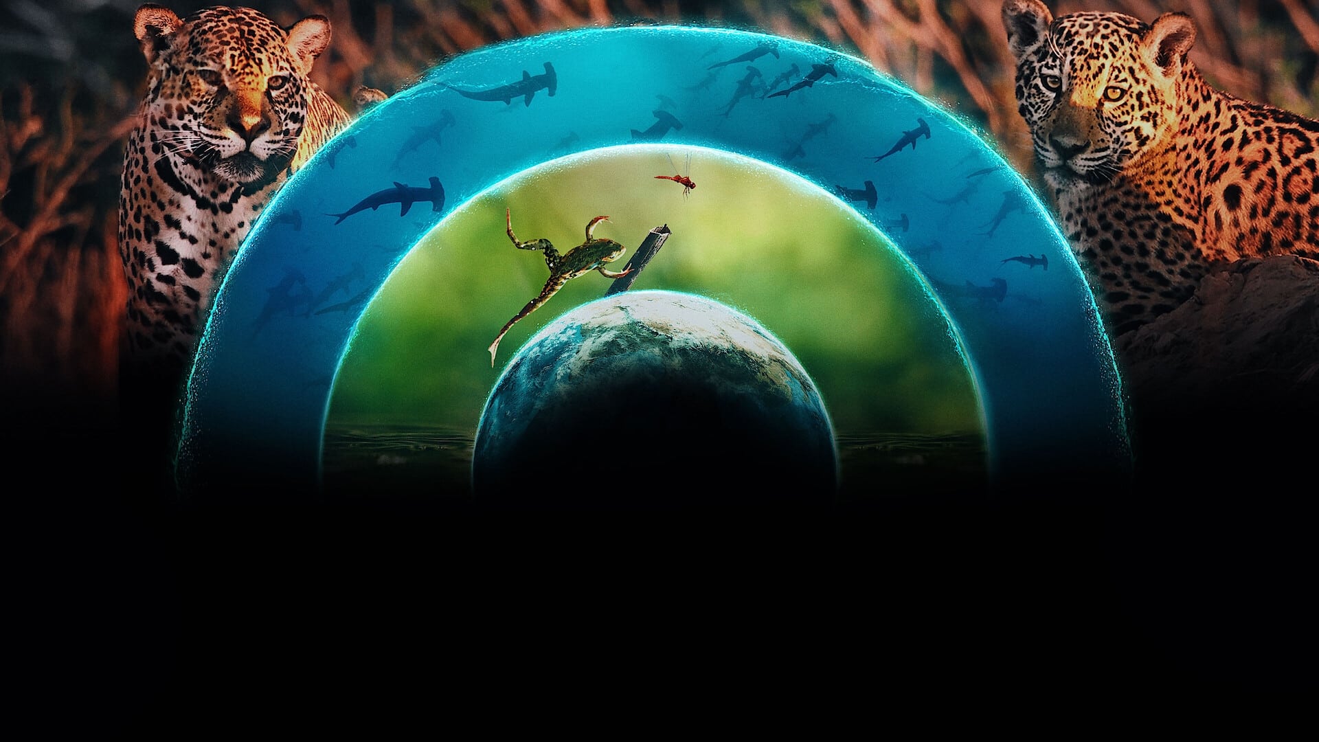 Our Living World 1. Sezon 2. Bölüm