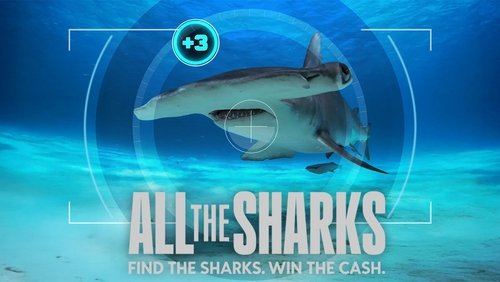 All the Sharks 1. Sezon 1. Bölüm